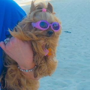 Meet your Posher, Sherry